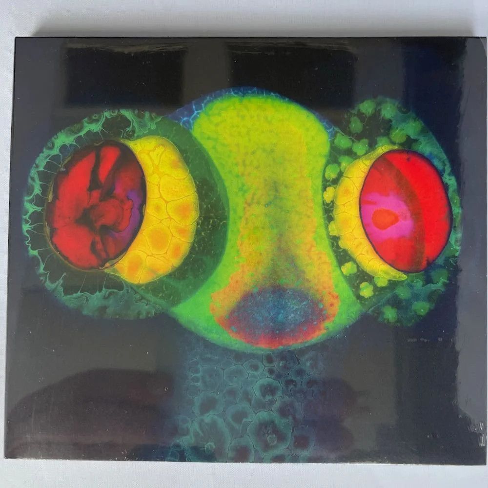Osees – Sorcs80 – Compact Disc, CD, 2024 NEW SEALED Indie Post Punk Rock DWYER